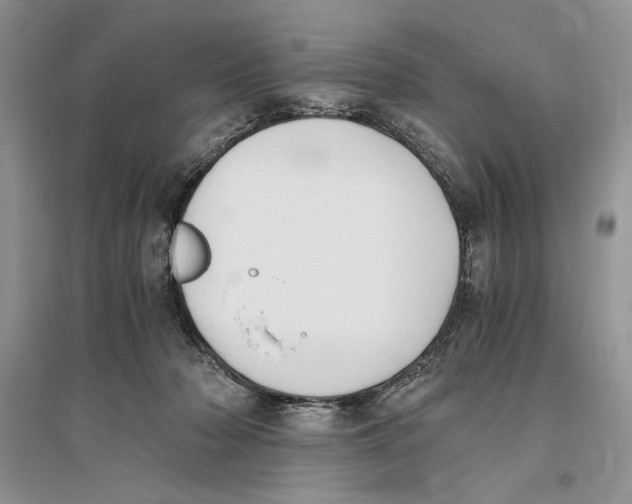 X0000096200318200802151531