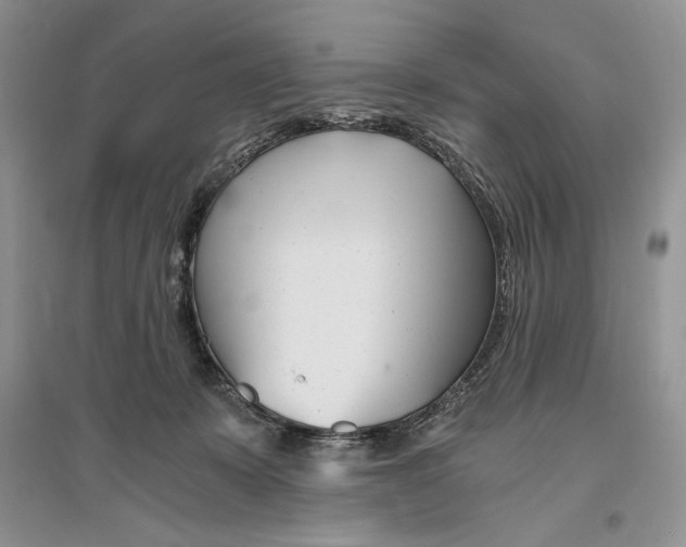 X0000096200319200802151531