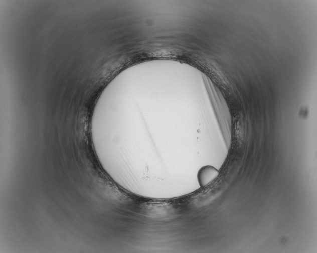 X0000096200322200802151531