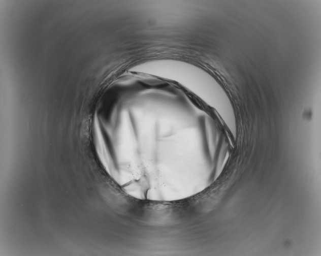 X0000096200325200802151531