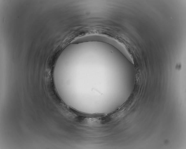 X0000096200327200802151531