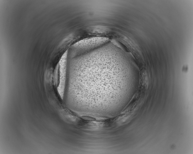 X0000096200328200802151531