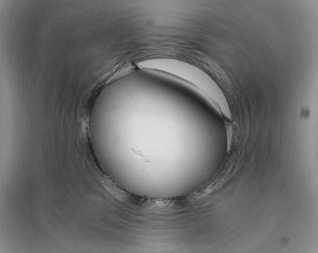 X0000096200329200802151531