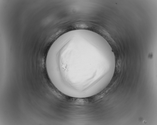 X0000096200330200802151531