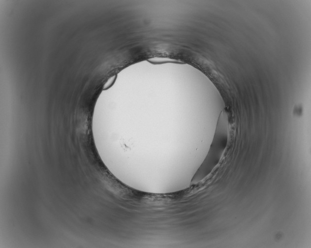 X0000096200331200802151531