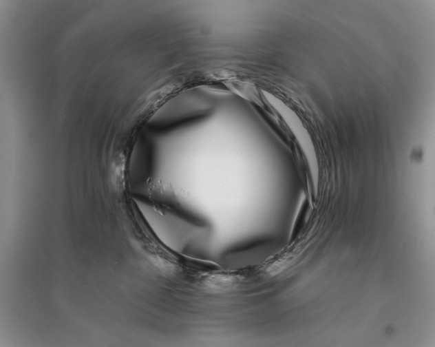 X0000096200332200802151531