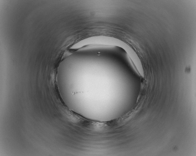 X0000096200333200802151531