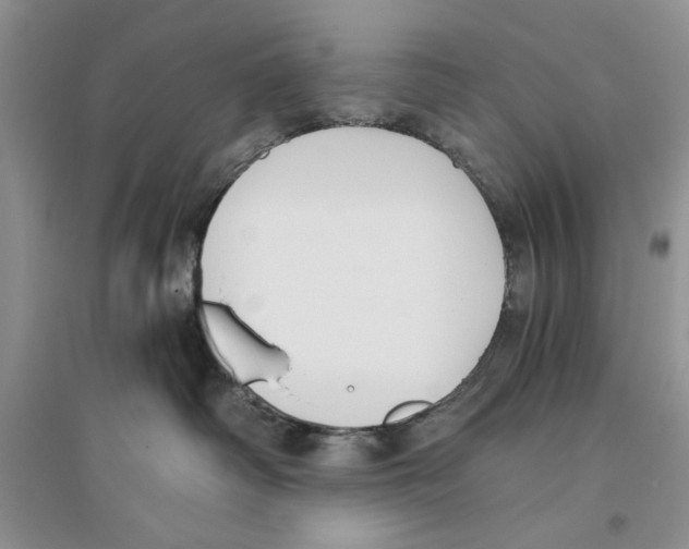 X0000096200334200802151531