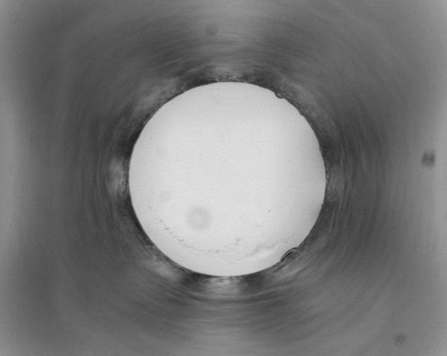 X0000096200335200802151531