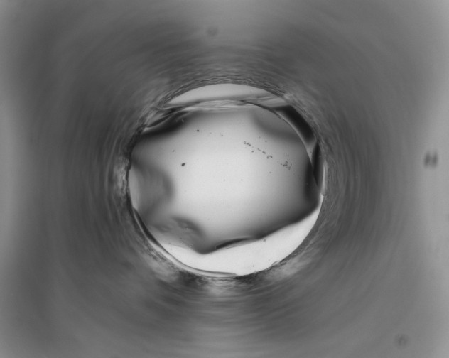 X0000096200336200802151531