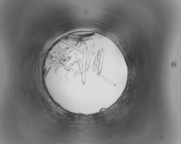 X0000096200337200802151530