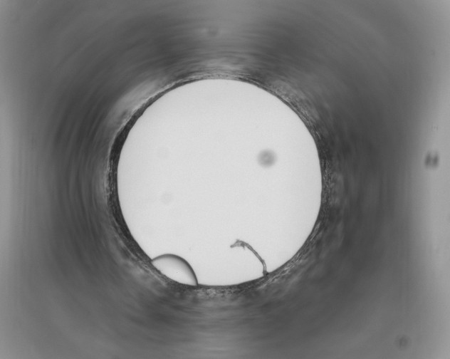 X0000096200338200802151530