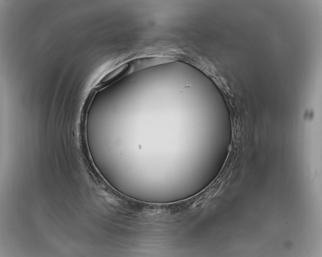 X0000096200340200802151530