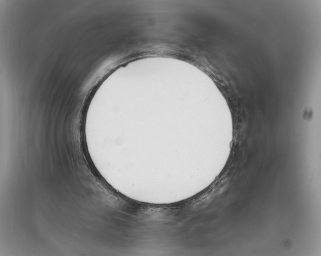 X0000096200341200802151530