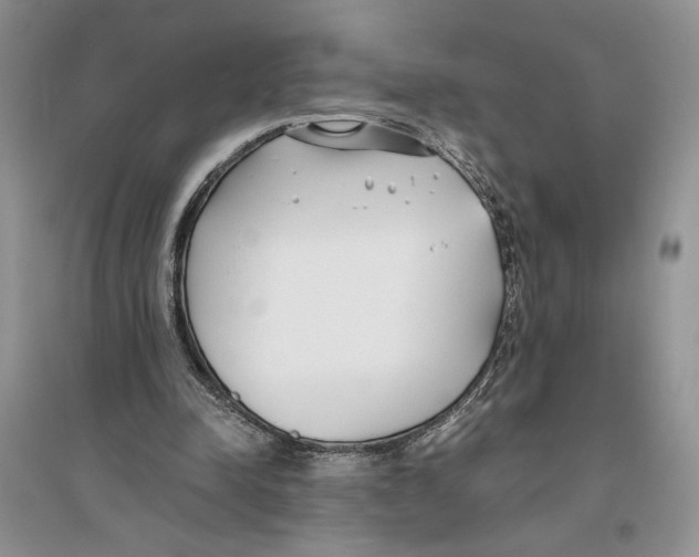 X0000096200342200802151530