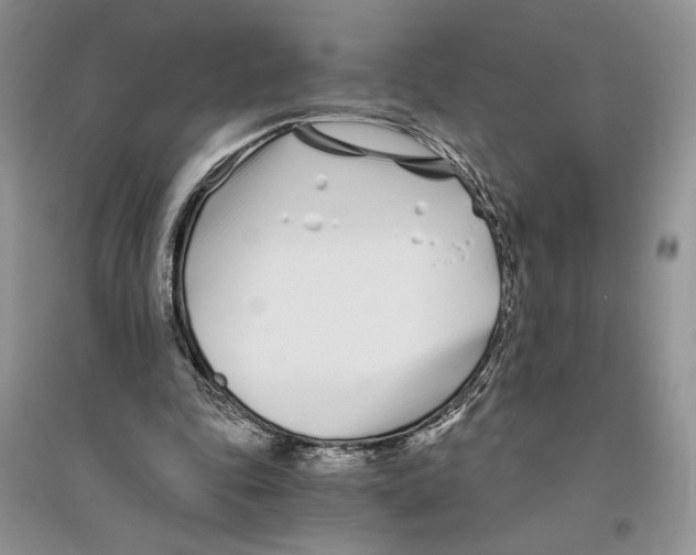 X0000096200343200802151530