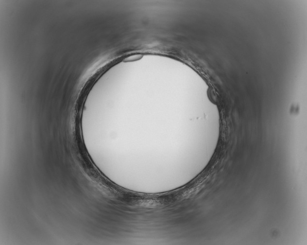 X0000096200344200802151530