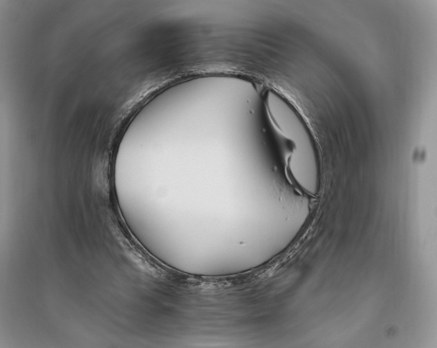 X0000096200345200802151530