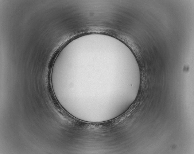 X0000096200346200802151530