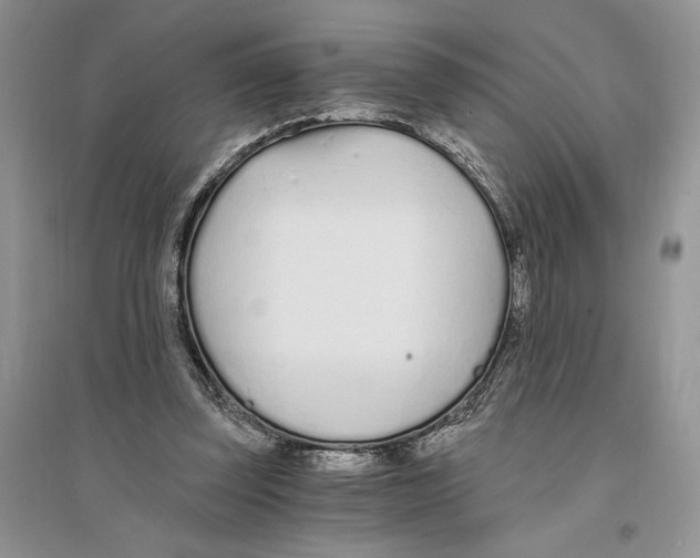 X0000096200347200802151530