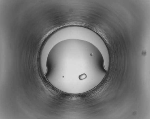 X0000096200348200802151530