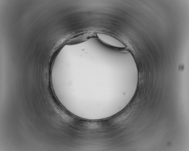 X0000096200349200802151530