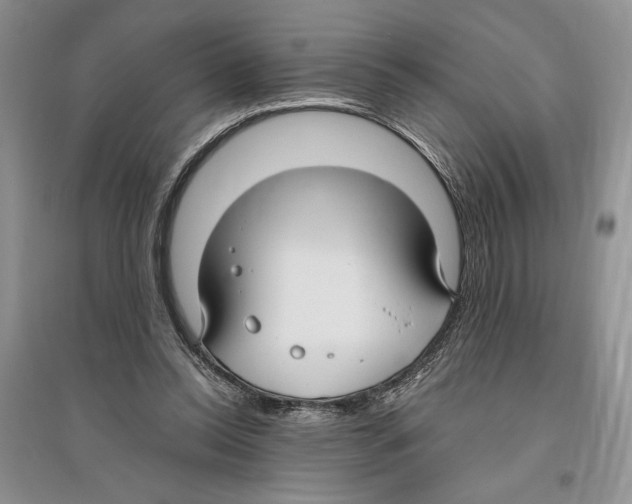 X0000096200350200802151530