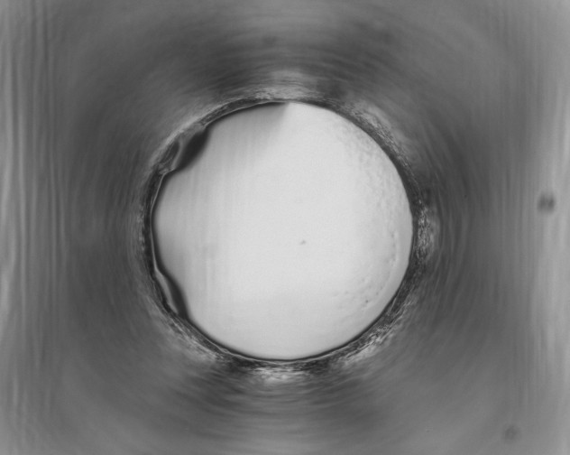 X0000096200351200802151530