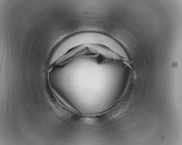 X0000096200352200802151530