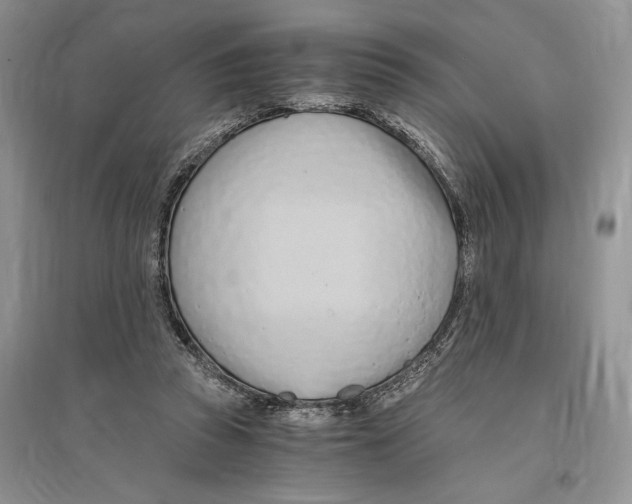 X0000096200353200802151530