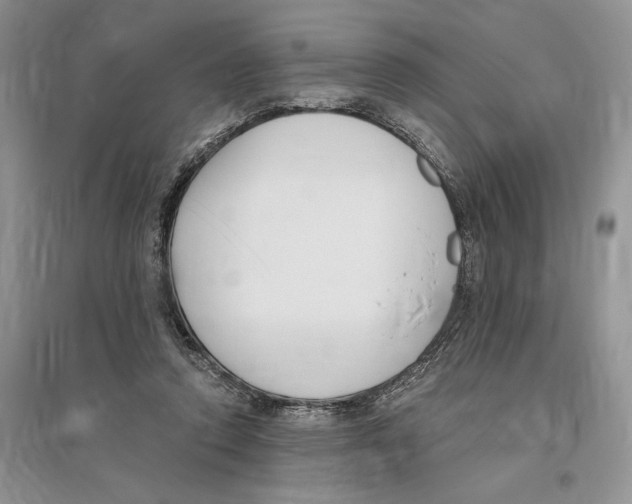 X0000096200354200802151530