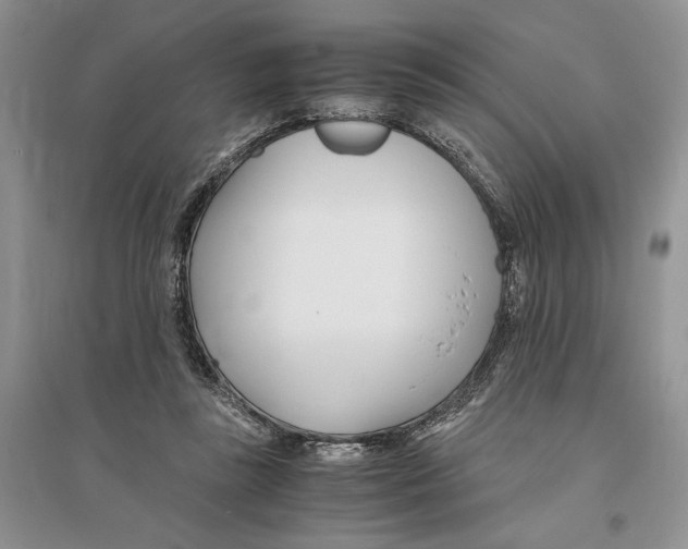 X0000096200355200802151530