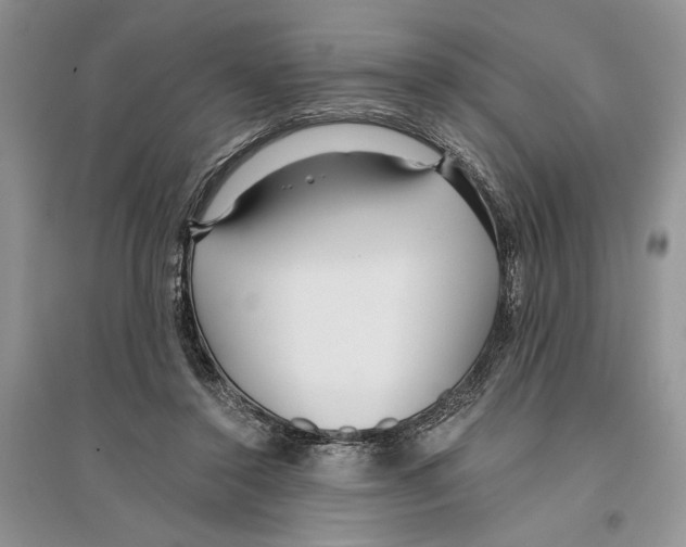 X0000096200356200802151530