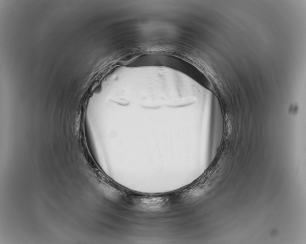 X0000096200357200802151530