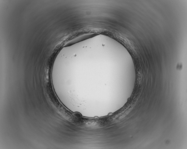 X0000096200358200802151530