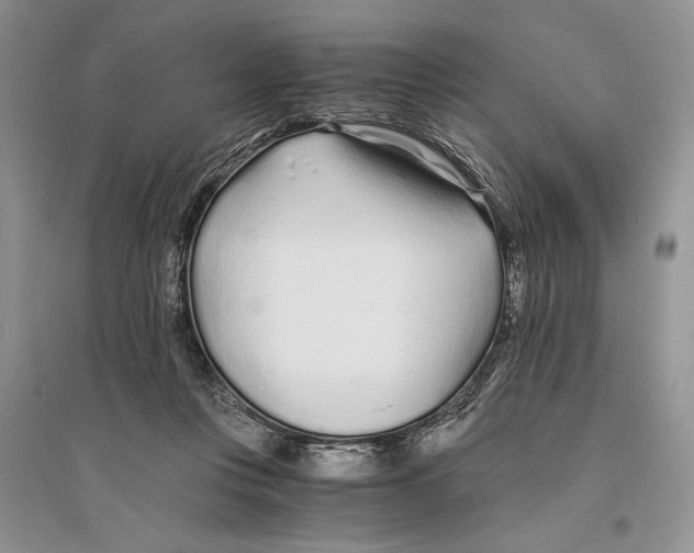 X0000096200359200802151530