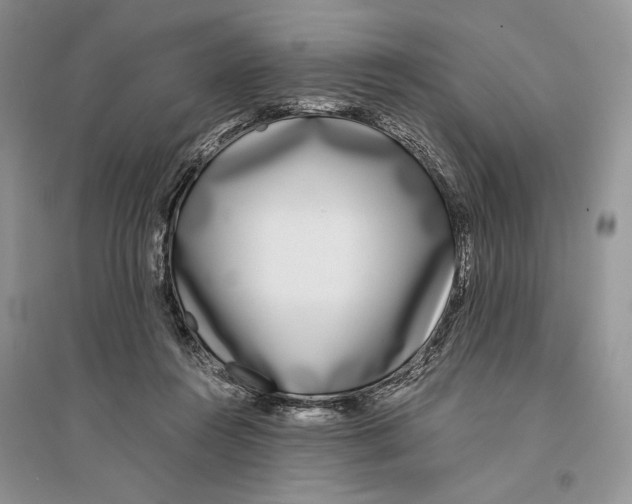 X0000096200360200802151530