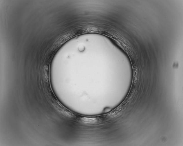 X0000096200361200802151531