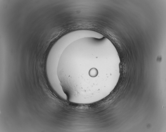 X0000096200362200802151531