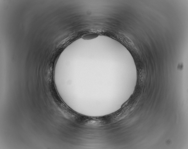 X0000096200364200802151531