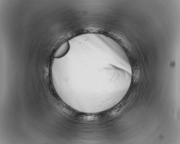 X0000096200365200802151531