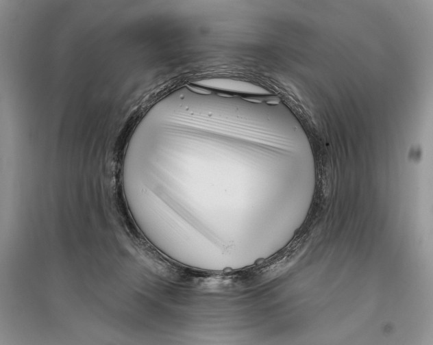 X0000096200366200802151531