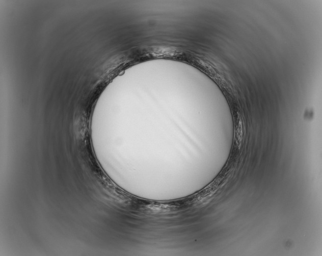 X0000096200367200802151531