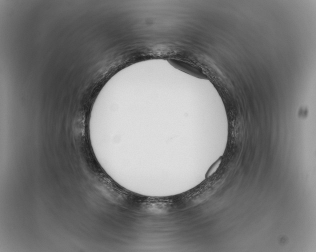 X0000096200368200802151531