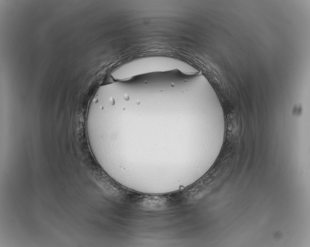 X0000096200369200802151531