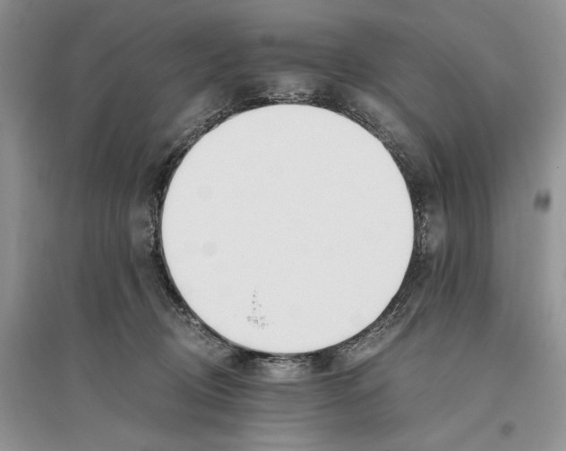 X0000096200370200802151531