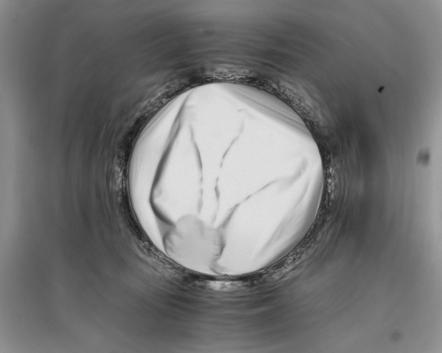 X0000096200371200802151531