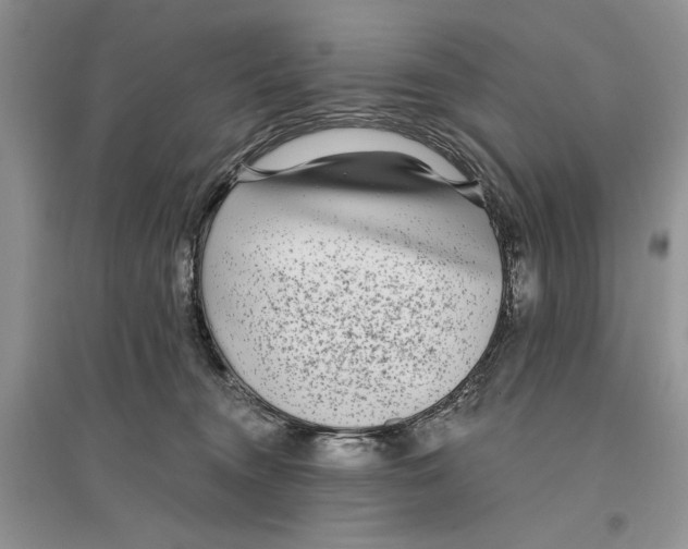 X0000096200372200802151531