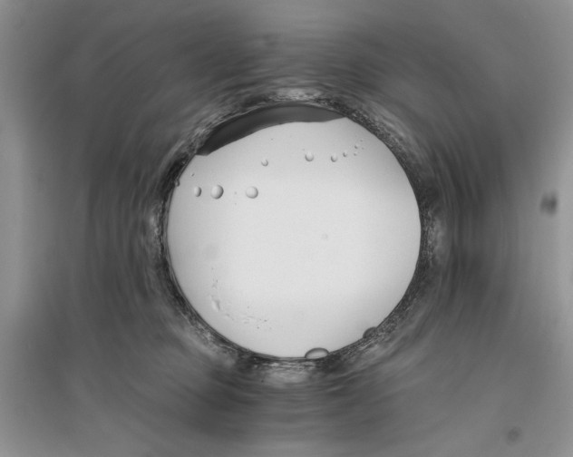 X0000096200373200802151531