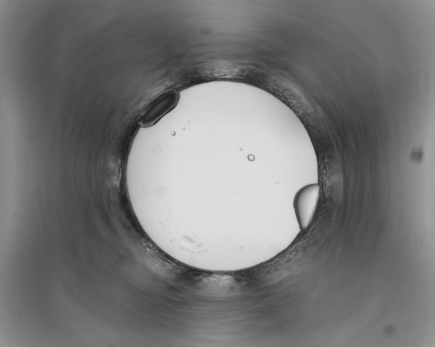 X0000096200374200802151531